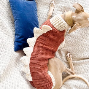 May include: A rust-colored crochet dog sweater featuring a ribbed turtleneck collar and a row of cream-colored triangular spikes running along the back. The sweater has a cream-colored trim along the edges and is worn by a light brown dog.