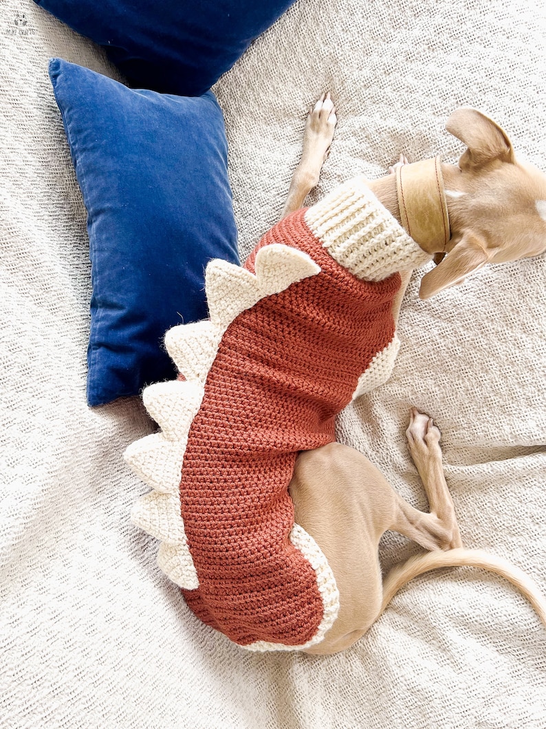 May include: A rust-colored crochet dog sweater featuring a ribbed turtleneck collar and a row of cream-colored triangular spikes running along the back. The sweater has a cream-colored trim along the edges and is worn by a light brown dog.