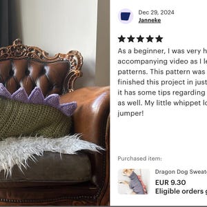 May include: A dark-colored sighthound dog wearing a textured olive green crocheted sweater featuring a row of light purple triangular spikes along the back. The sweater has a high ribbed collar and covers the dog's torso, providing a snug fit.