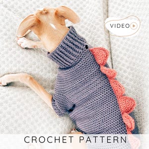 May include: A small dog wearing a gray crochet sweater with a dinosaur spine design in coral. The sweater has a high collar and is labeled "CROCHET PATTERN". The dog is lying on a light-colored, textured surface.