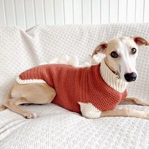 May include: A rust-colored crocheted dog sweater featuring a cream-colored ribbed turtleneck collar, cream-colored leg cuffs, and a row of soft, triangular cream-colored spikes running along the back, worn by a light-colored sighthound dog.