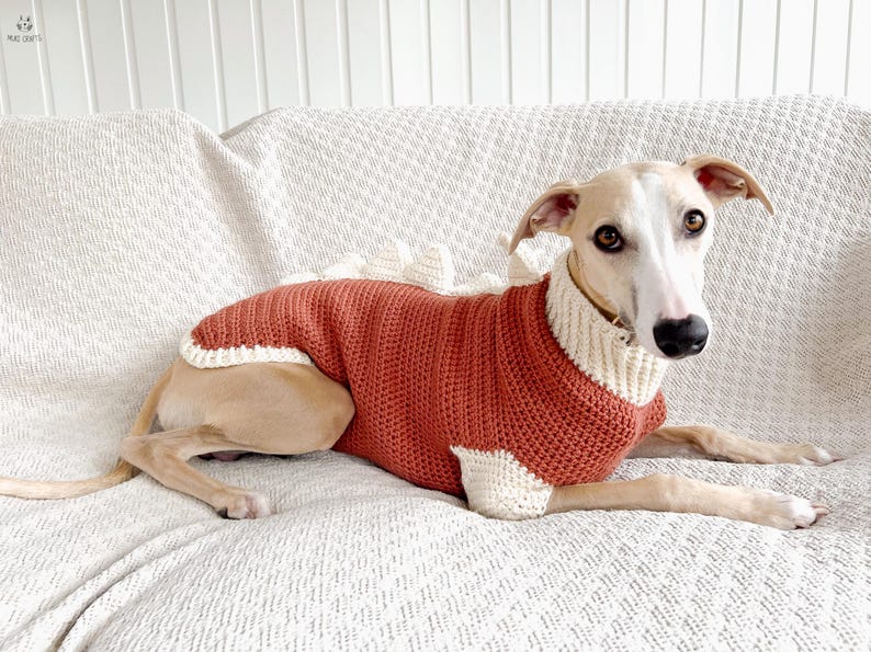May include: A rust-colored crocheted dog sweater featuring a cream-colored ribbed turtleneck collar, cream-colored leg cuffs, and a row of soft, triangular cream-colored spikes running along the back, worn by a light-colored sighthound dog.