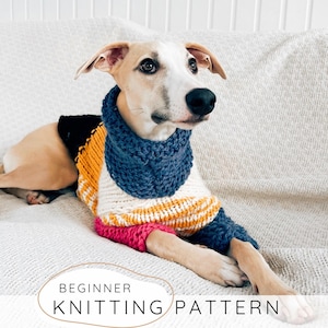 Puede incluir: Un perro con un suéter y cuello tejidos a mano. El suéter tiene una base blanca con rayas naranjas y amarillas, puños rosas y un cuello azul marino. El texto "BEGINNER KNITTING PATTERN" está en la parte inferior.