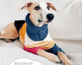 Chunky Dog Sweater KNITTING PATTERN, Beginner Friendly Collared Pet Pullover, Easy Flat Knit Jumper for Small to Large Pups I Doggo No 5