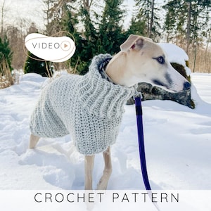 Puede incluir: Un suéter de perro de ganchillo gris claro con cuello alto, usado por un perro en la nieve. El perro está con una correa morada. El texto "VIDEO" está en un círculo en la parte superior izquierda. El texto "CROCHET PATTERN" está en la parte inferior.