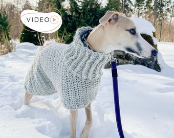 Large Dog Sweater CROCHET PATTERN with Video, Chunky Dog Coat Crochet Tutorial, Medium Large Pet Jumper, Beginner Dog Clothes I Doggo No12
