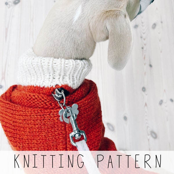 Hooded Dog Sweater KNITTING PATTERN Dog Jumper Knit Pattern Dog Pullover Medium Dog Sweater Whippet Sweater With Hood I Doggo No 3