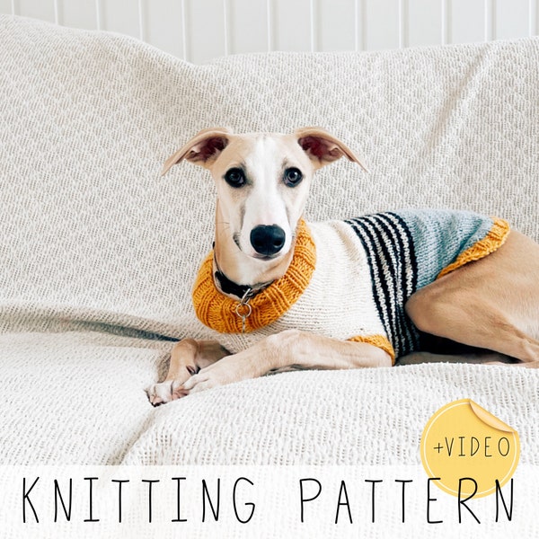 Dog Sweater KNITTING PATTERN Dog Coat Knit Pattern Medium Dog Jumper Video Knitting Pattern Small Dog Sweater Large Dog Pattern Doggo No 2