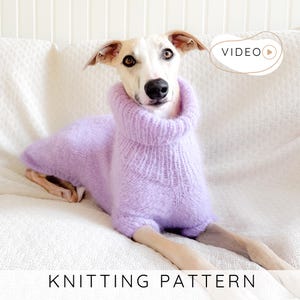 MODELLO PER LAVORARE A MAGLIA UN MAGLIONE PER CANI, Pullover per animali domestici con collare, Maglione per cani senza cuciture lavorato a maglia per cuccioli di piccola e grande taglia I Doggo n. 9