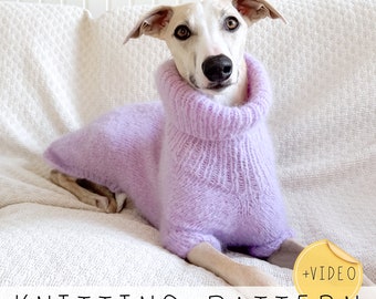 Dog Sweater KNITTING PATTERN Collared Dog Jumper Knit Pattern Whippet Sweater Video Pattern Small Dog Sweater, Knit Dog Jumper I Doggo no 9