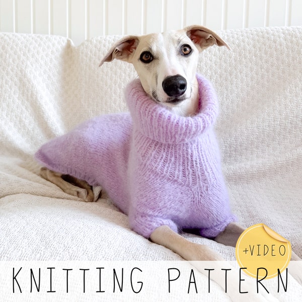 Dog Sweater KNITTING PATTERN Collared Dog Jumper Knit Pattern Whippet Sweater Video Pattern Small Dog Sweater, Knit Dog Jumper I Doggo no 9