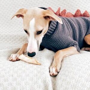 May include: A dog wearing a dark gray crocheted sweater with a ribbed collar and a row of soft, coral-colored triangular spikes along the back. The sweater features a textured stitch pattern and covers the torso, leaving the legs and tail free.