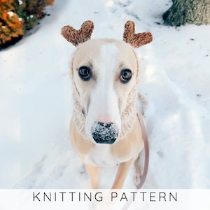 Reindeer Hund Snood Strickanleitung, Geweih Hund Mütze, Halswärmer Kostüm Weihnachten, klein, mittelgroß, Hund Geschenk I Doggo no 7