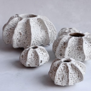 May include: Five white ceramic vases shaped like sea urchins. The vases are of different sizes and have a textured surface.