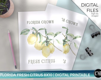 Florida Citrus Print | Lemon Wall Art (Digital Download)