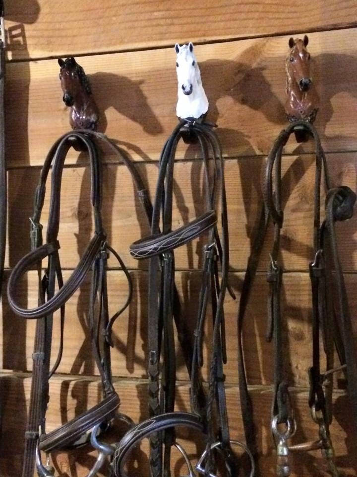 Personalized Horse Halter Hook Personalized Horse Bridle Etsy Australia