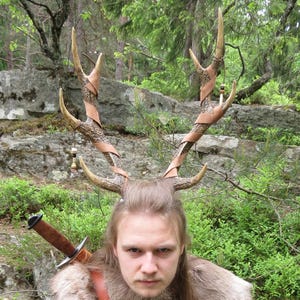 Sika Deer Antler Replicas