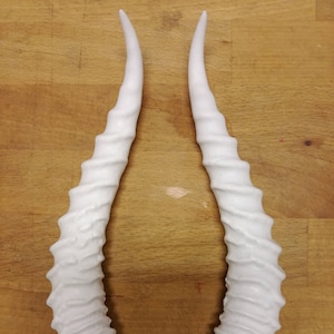 Replica Dorcas Gazelle Horns