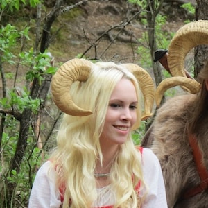 Replica Small Sheep Ram Horn