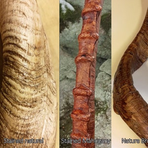 Replica Hartebeest Horns image 5