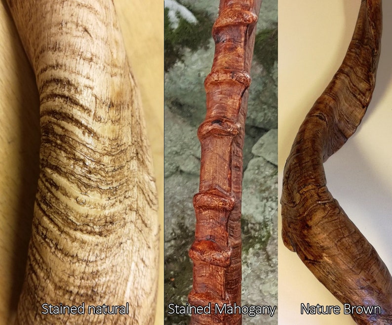 Replica Hartebeest Horns image 5