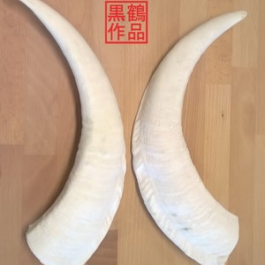 Replica Wide Goat Horns image 4