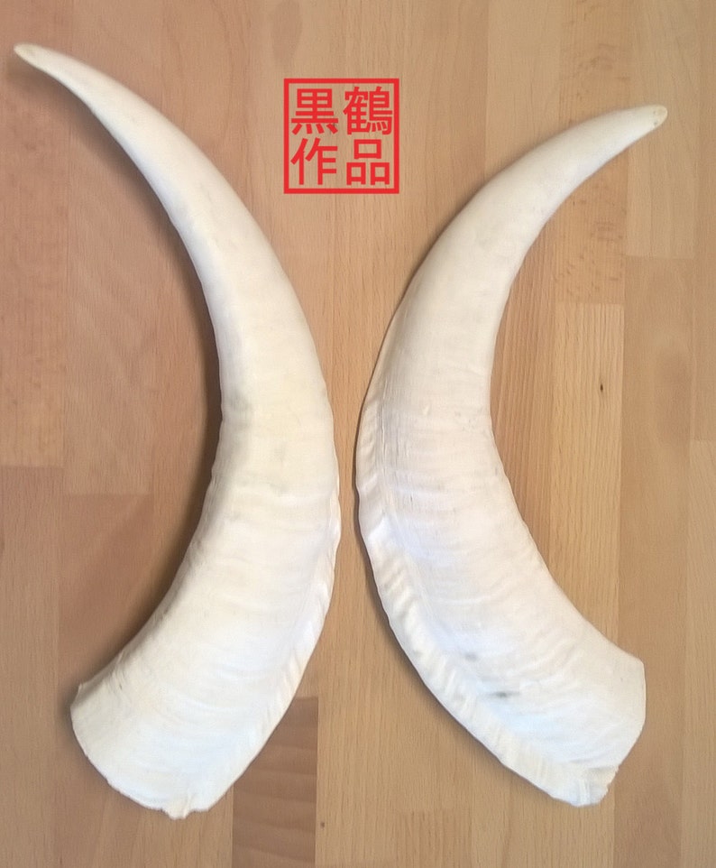 Replica Wide Goat Horns image 4