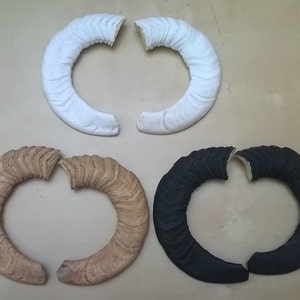 Replica Flat Sheep Horns