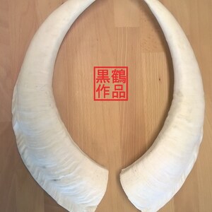 Replica Wide Goat Horns White