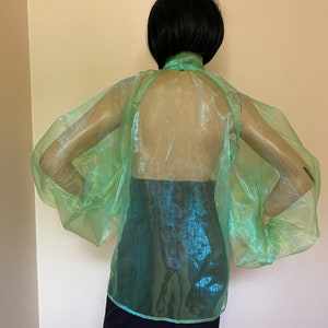 May include: A sheer, light green blouse with long, puffed sleeves. The blouse is made of a shimmery fabric and has a high neckline.
