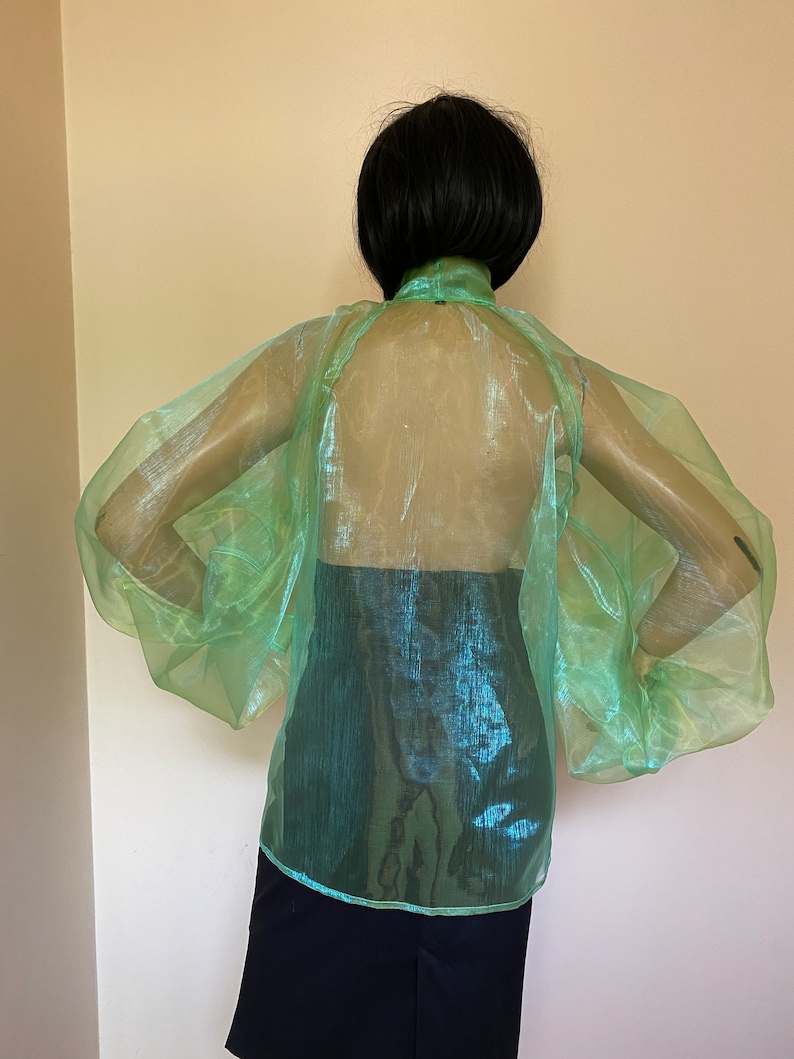 May include: A sheer, light green blouse with long, puffed sleeves. The blouse is made of a shimmery fabric and has a high neckline.