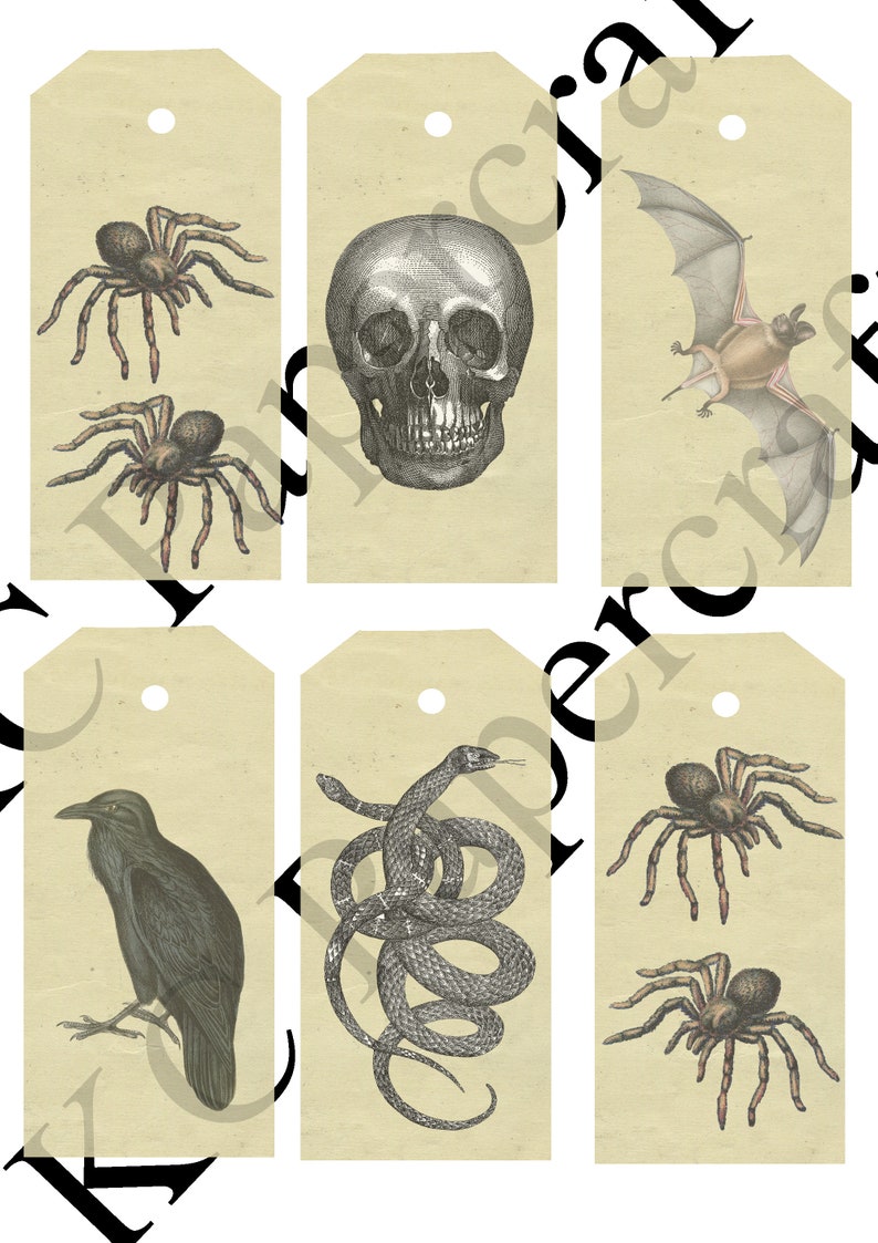 Halloween Ephemera Digital Download | Etsy