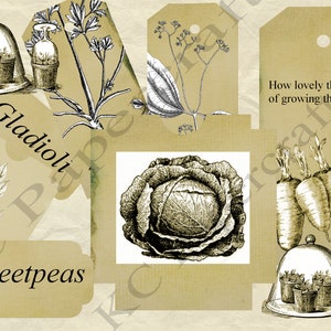 Vintage Garden Themed Journal Pages, Digital Download, Journal, Planner, Ephemera, Gardening, Plants, Vegetables