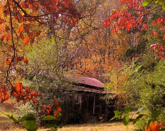 Old Farm House