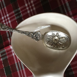 Sale! Antique British Martin, Hall Co. Silver Plate Large 9 1/2&quot; Aesthetic Repoussé Serving Spoon Floral & Dragonfly No Mono. Late 1800&#39;s