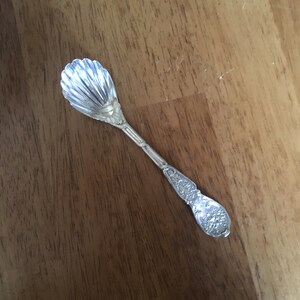 Può includere: Un cucchiaio d'argento con un'elegante ciotola a forma di conchiglia e un manico decorato.