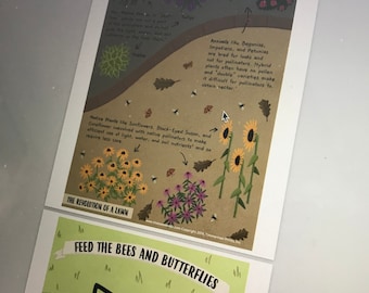 Pollinator Garden Story Walk Images Education