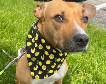 Black Lemon Dog Bandana and Scrunchie Set