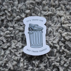 Trash CAN vinyl raccoon sticker