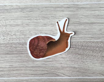 Garden Snail Hand-drawn Vinyl Sticker