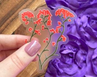 Clear Texas Paintbrush Vinyl Sticker: Waterproof Floral Decal