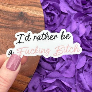 I'd Rather Be A Fucking Bitch Vinyl Sticker, Anti Ice, FDT