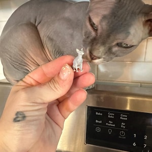 Miniature Sphynx Cat Figurine 3D Printed Hairless Pet | 1 6 1 8 1 12 Scale Dollhouse Diorama Monster High