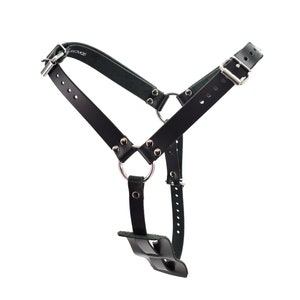 Double Plug Harness mature image 2