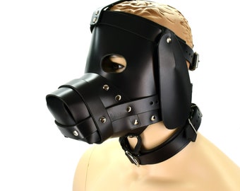 子犬用フード