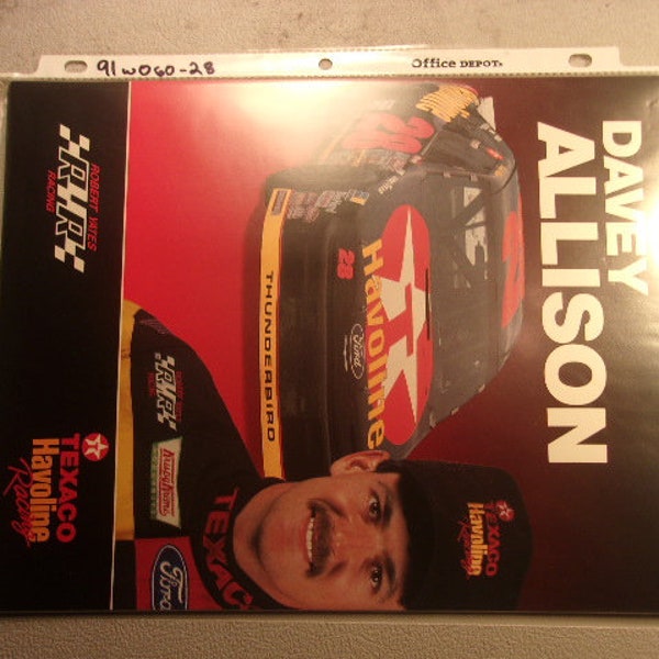 Davey Allison Texaco Havoline Ford 11x8.5 91 w060-28