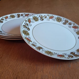 Set of 4 Mikasa Cera-Stone West Wood Dinner Plates