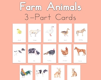 Farm Animals 3 Part Cards, Montessori, Homeschool, Reggio Emilia, Waldorf, Nature Study, Lake Study, River Study, Wildlife, Pond Unit