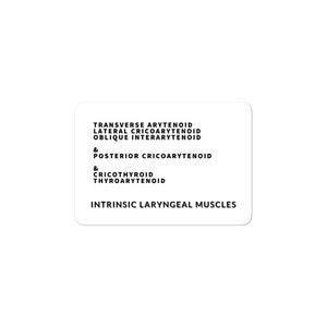 Laryngeal Muscles - Sprachpathologie - Sprachtherapie - SLP Aufkleber - Anatomie - Stimmtherapeut