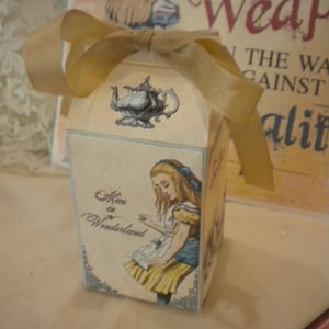 Alice in Wonderland Party Favor Milk Carton Box (4)